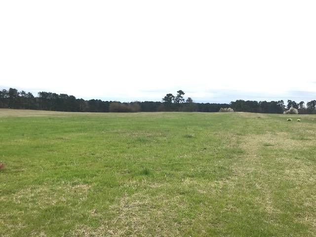 53 Acres – Pasture Land – Borders Hope Country Club