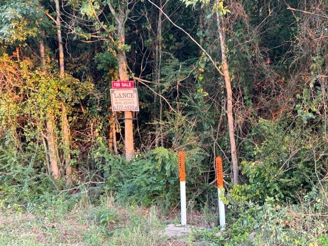 13.854 Acres on Bill Clinton Drive