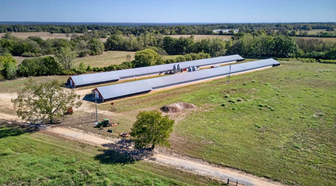 DJI_20261018120451_0095_D