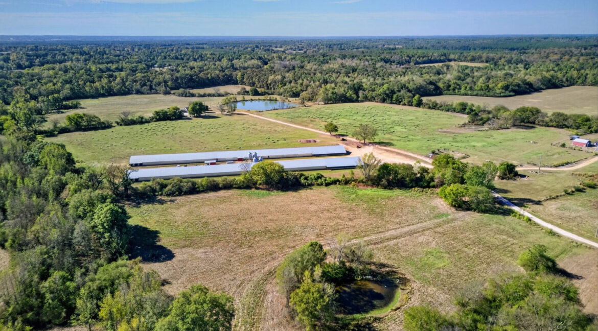 DJI_20261018120649_0107_D