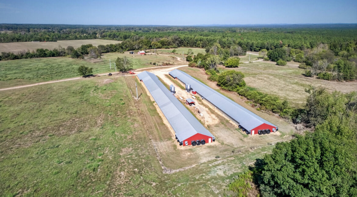 DJI_20261018120725_0110_D
