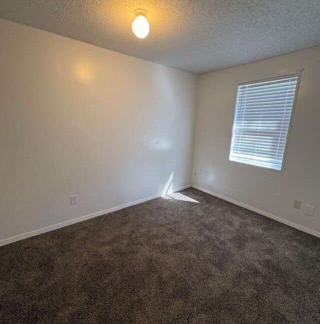 717 N Elm 8
