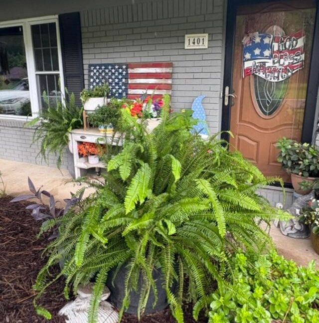 1401 Wilson THUMB