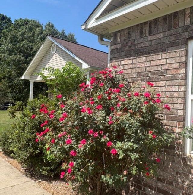 109 Hempstead 172 2