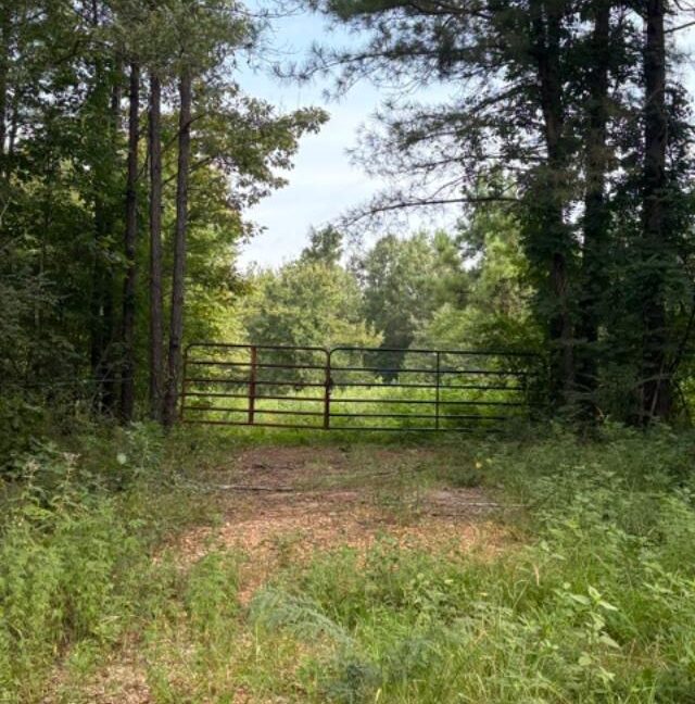 thumbnail (9)
