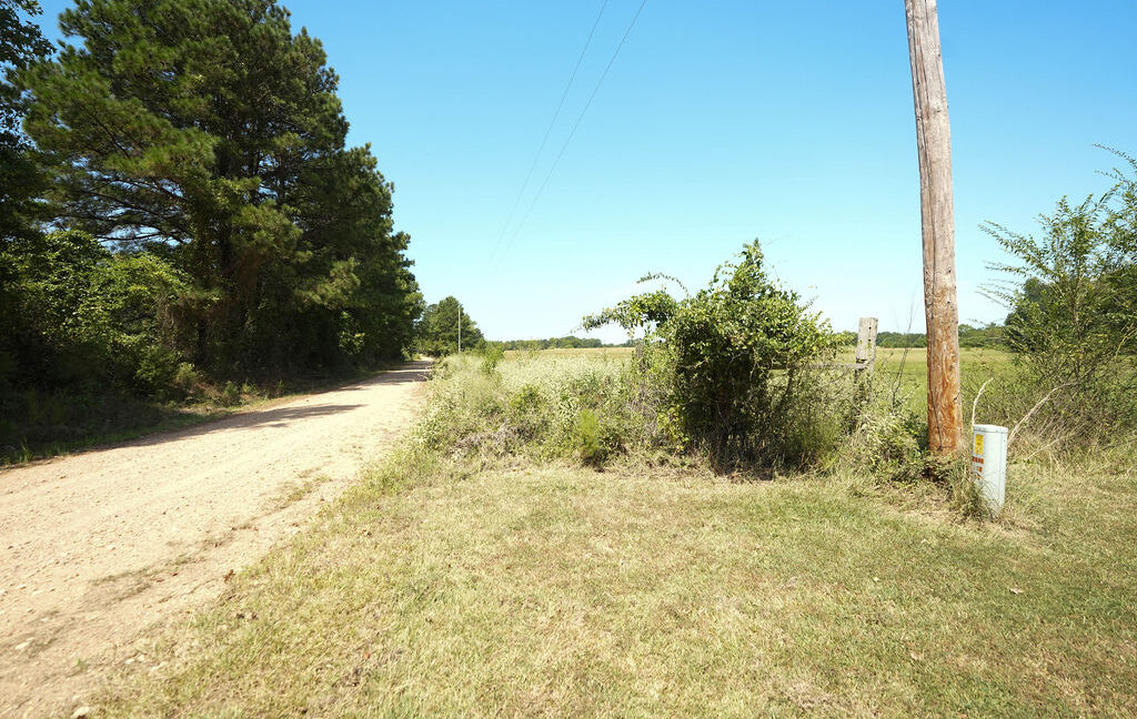 DSC09017