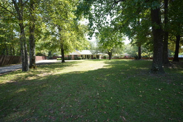 DSC09173