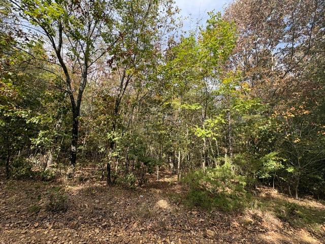 129 Hempstead 1535 (4)