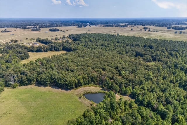 DJI_20260831125552_0046_D
