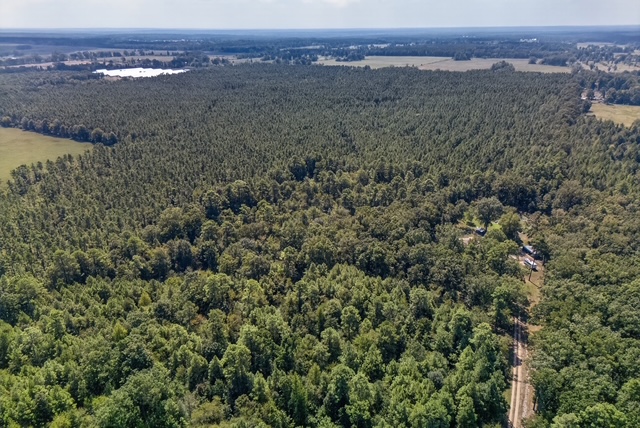 DJI_20260831125734_0056_D