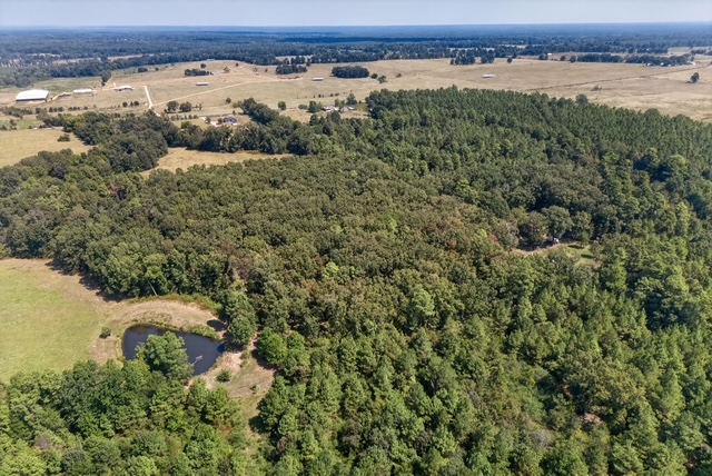 DJI_20260831130214_0070_D